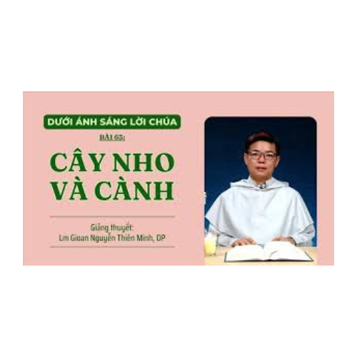 Bài 65: Cây nho và cành